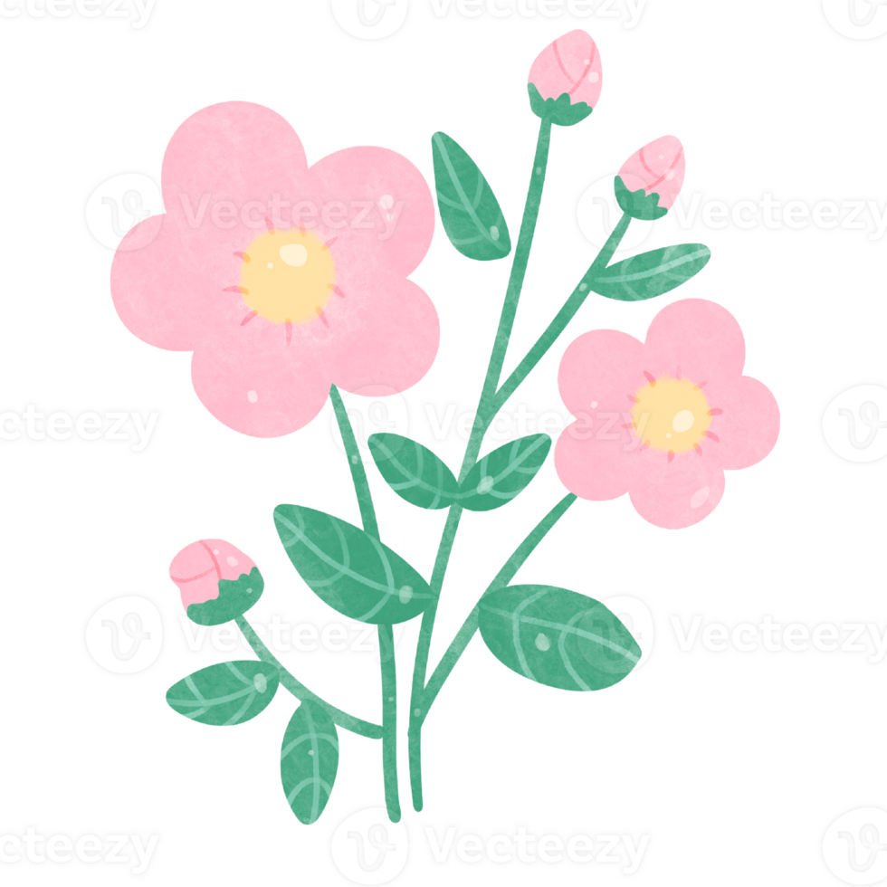 Flowers watercolor clipart 24682755 PNG