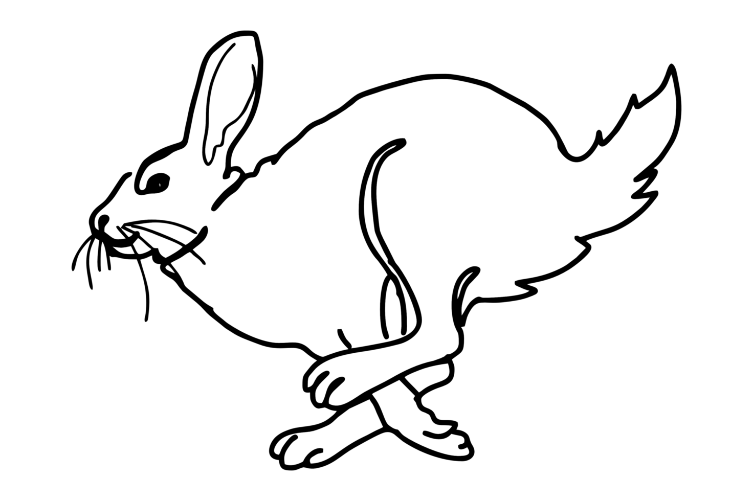 colorante de animal ilustración - conejo, conejito corriendo png