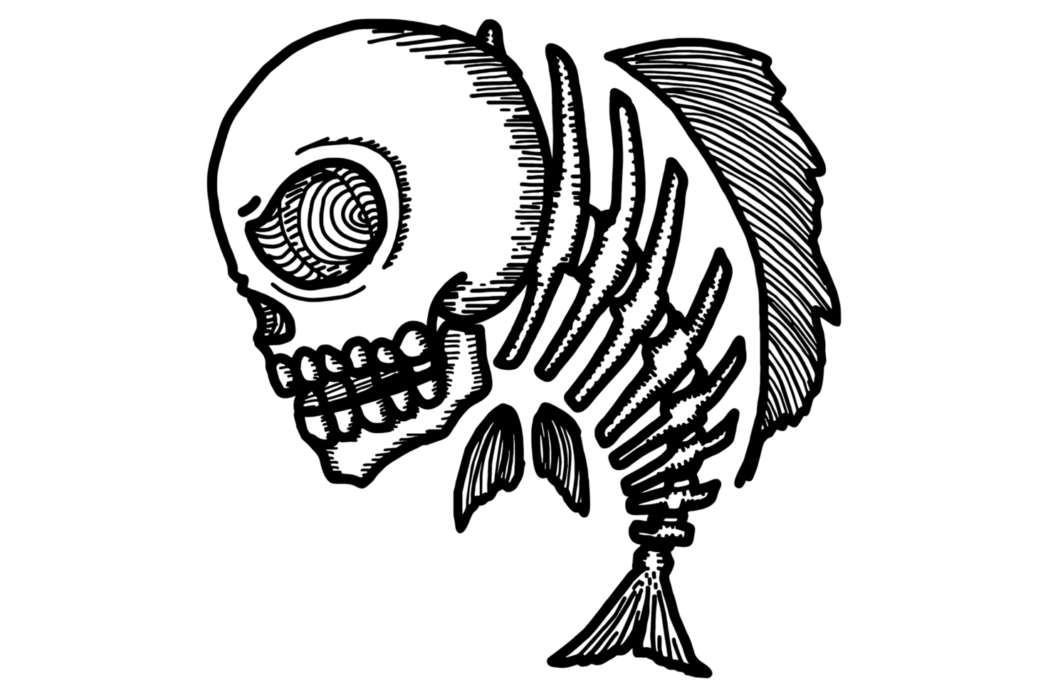 Coloring Of Fish Skeleton With Human Skull Head Illustration png