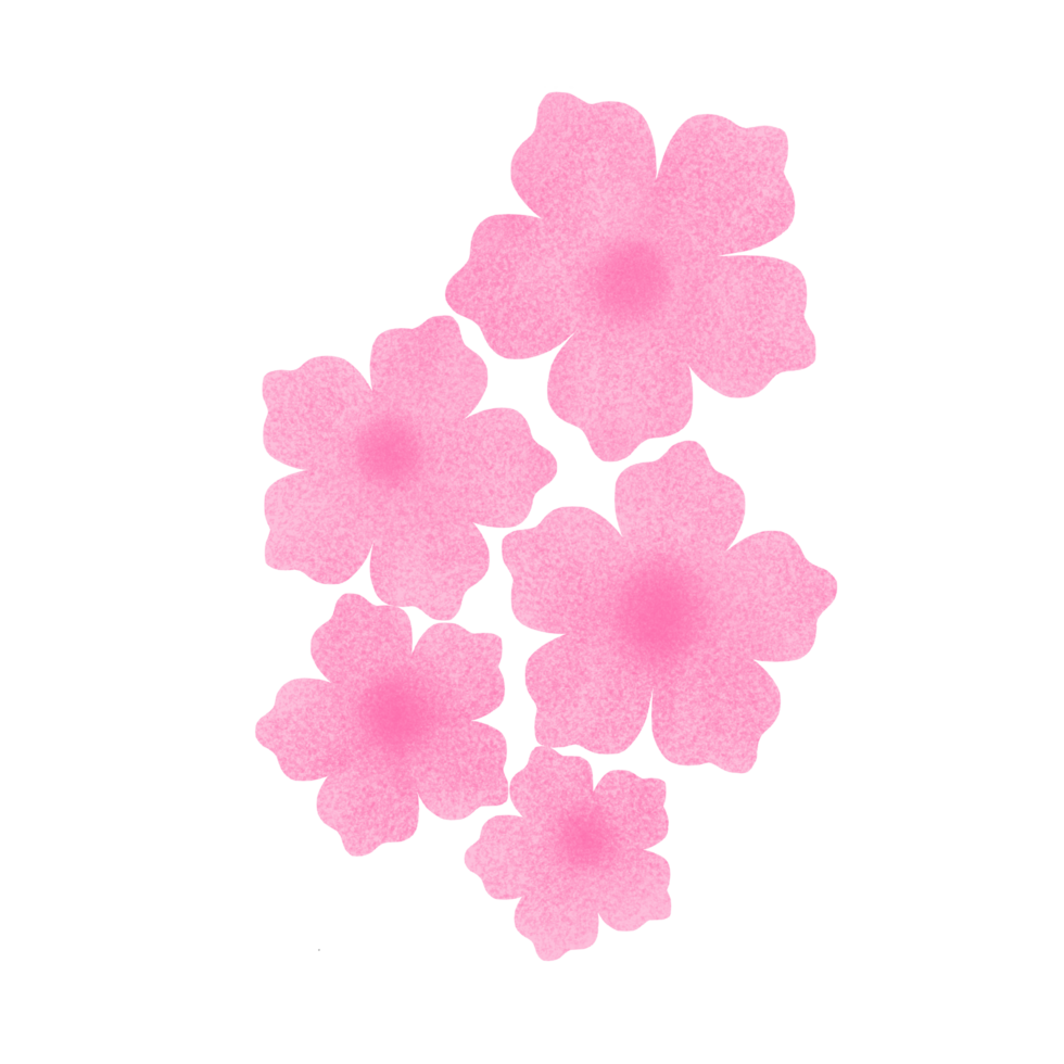 Pink flower with texture png