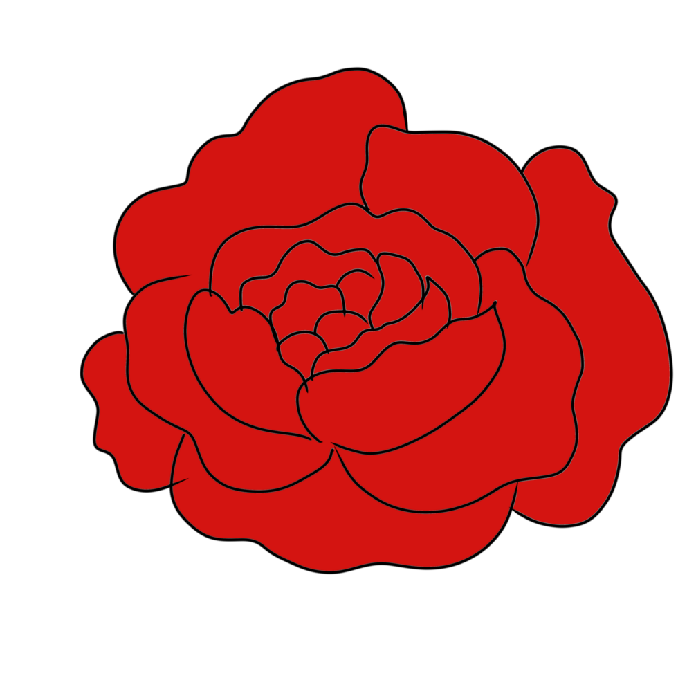 Illustration red rose design. Hand drawn digital art for your graphic design png