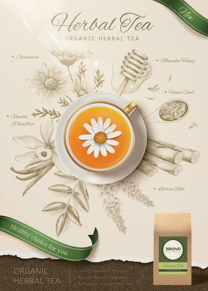 Top view of chamomile tea in 3d illustration with engraved herbs background vector