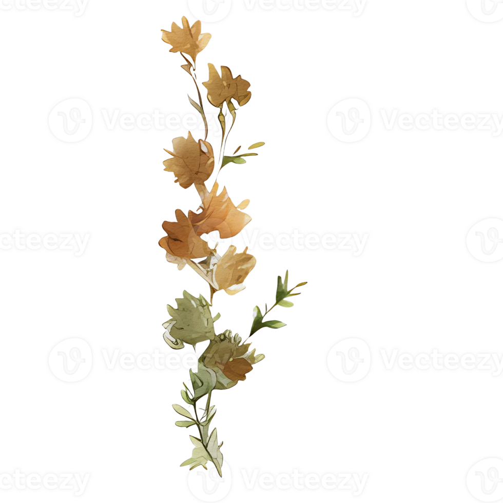 acquerello botanico elementi, png trasparente sfondo, isolato, no sfondo, ai generativo