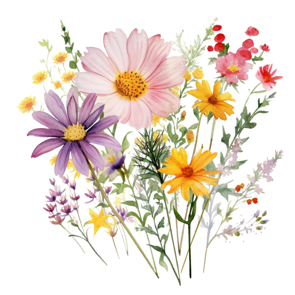 sweet watercolor wild flower bouquet, png transparent background