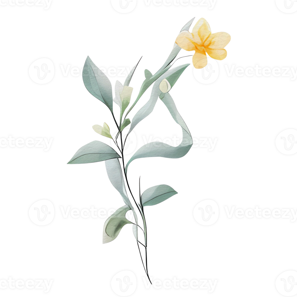 watercolor botanical elements, transparent background, isolated, no background, png