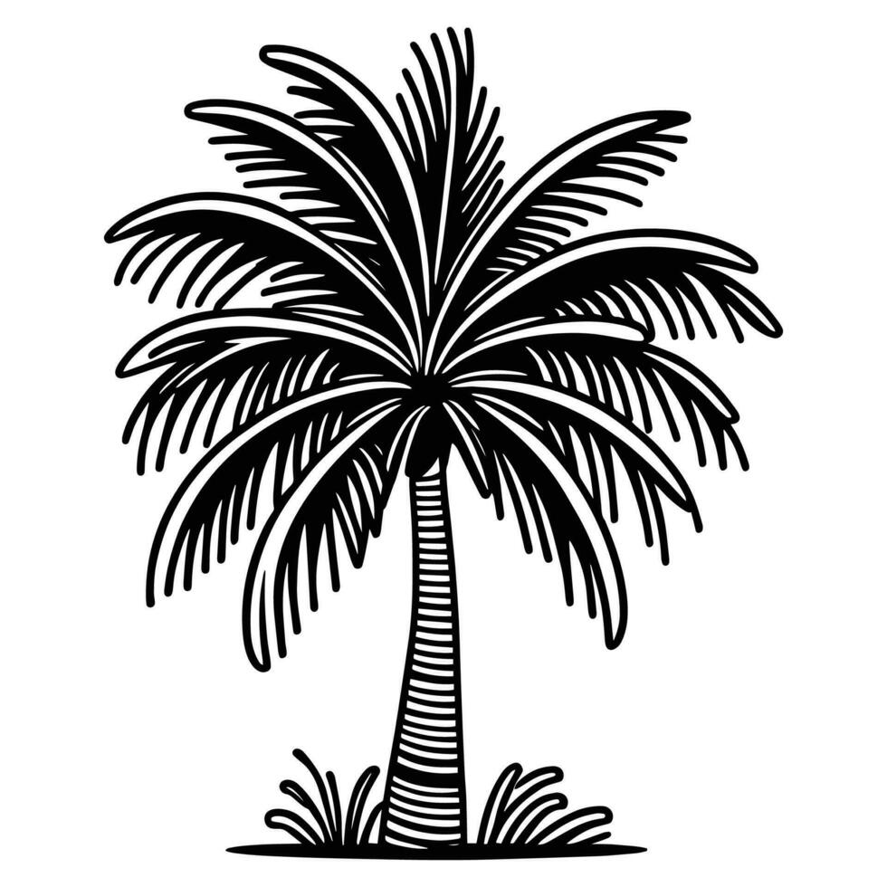 esta es un Coco árbol vector silueta, Coco árbol línea Arte vector negro y blanco.