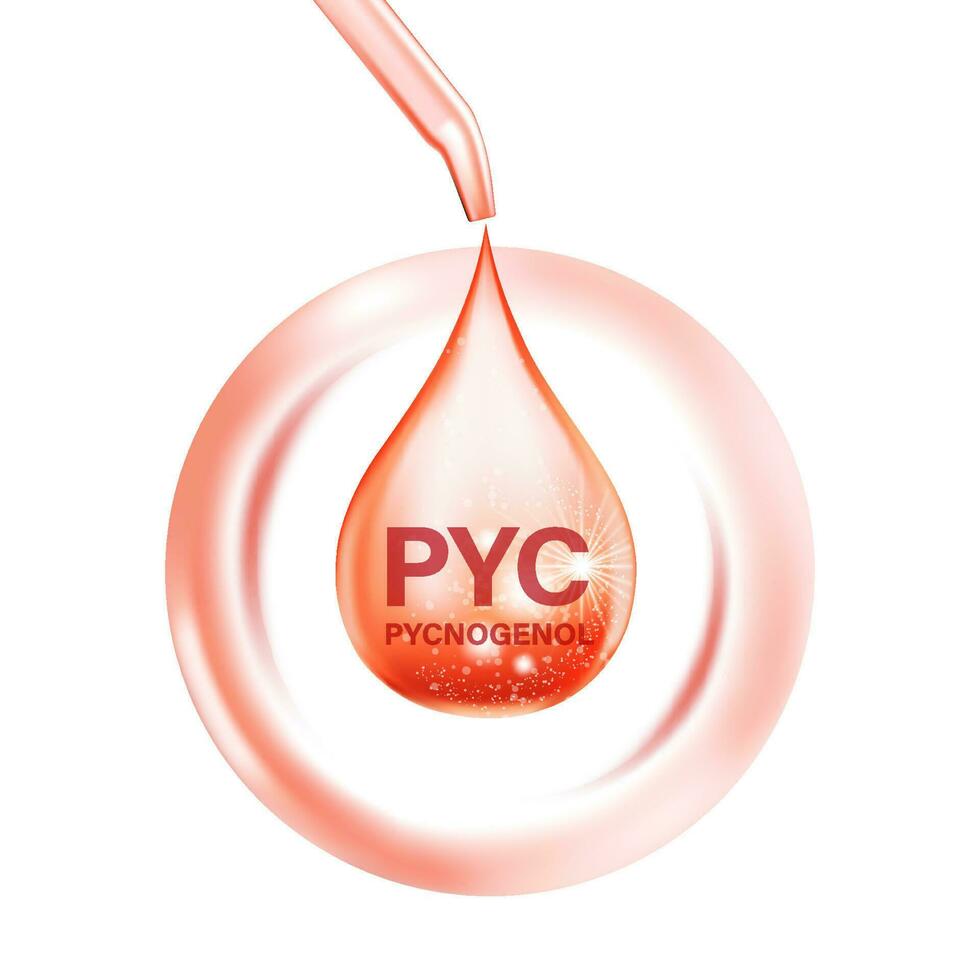 Pycnogenol serum Skin Care Cosmetic vector