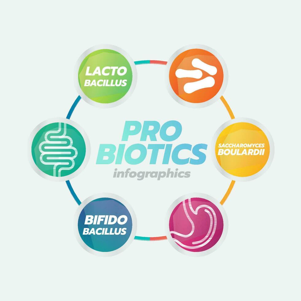 Probiotic Foods Good Bacteria Vector illustration.