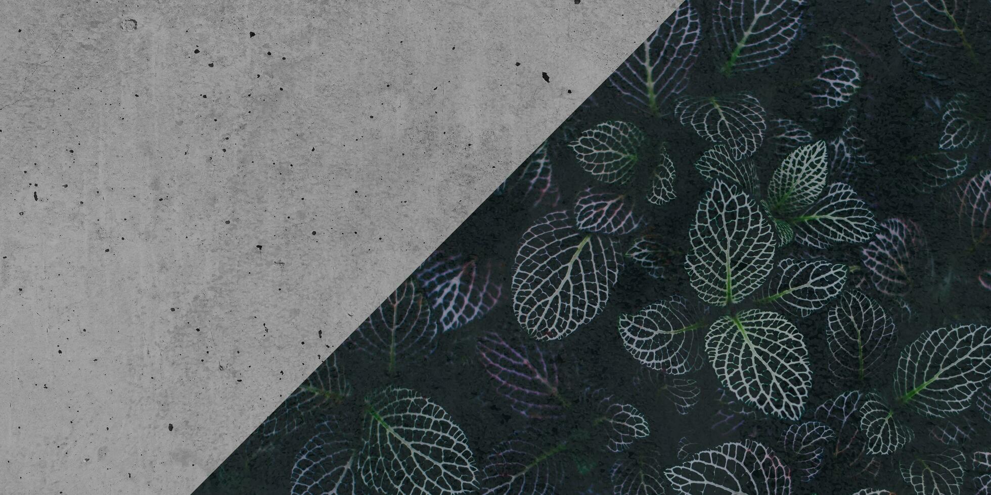 Abstract and artistic texture background photo