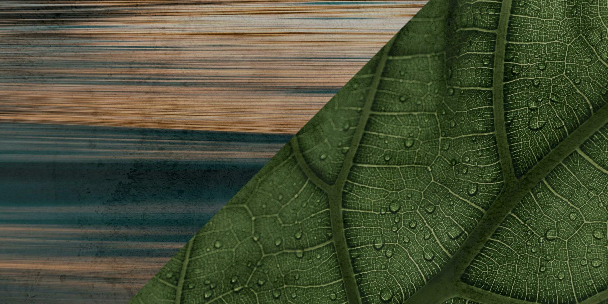 Stucco and plastered wall texture background photo