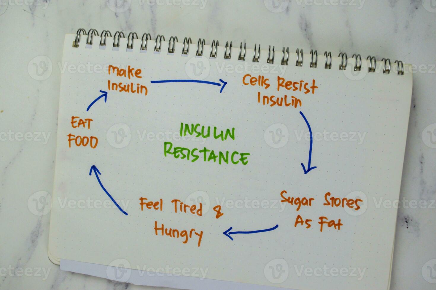 Concept of Insulin Resistance write on a book with keywords isolated on Wooden Table. photo