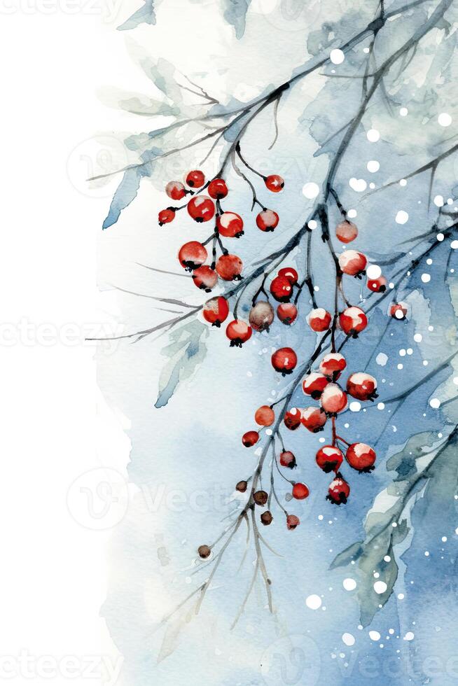 Winter Berry Watercolor Illustrations