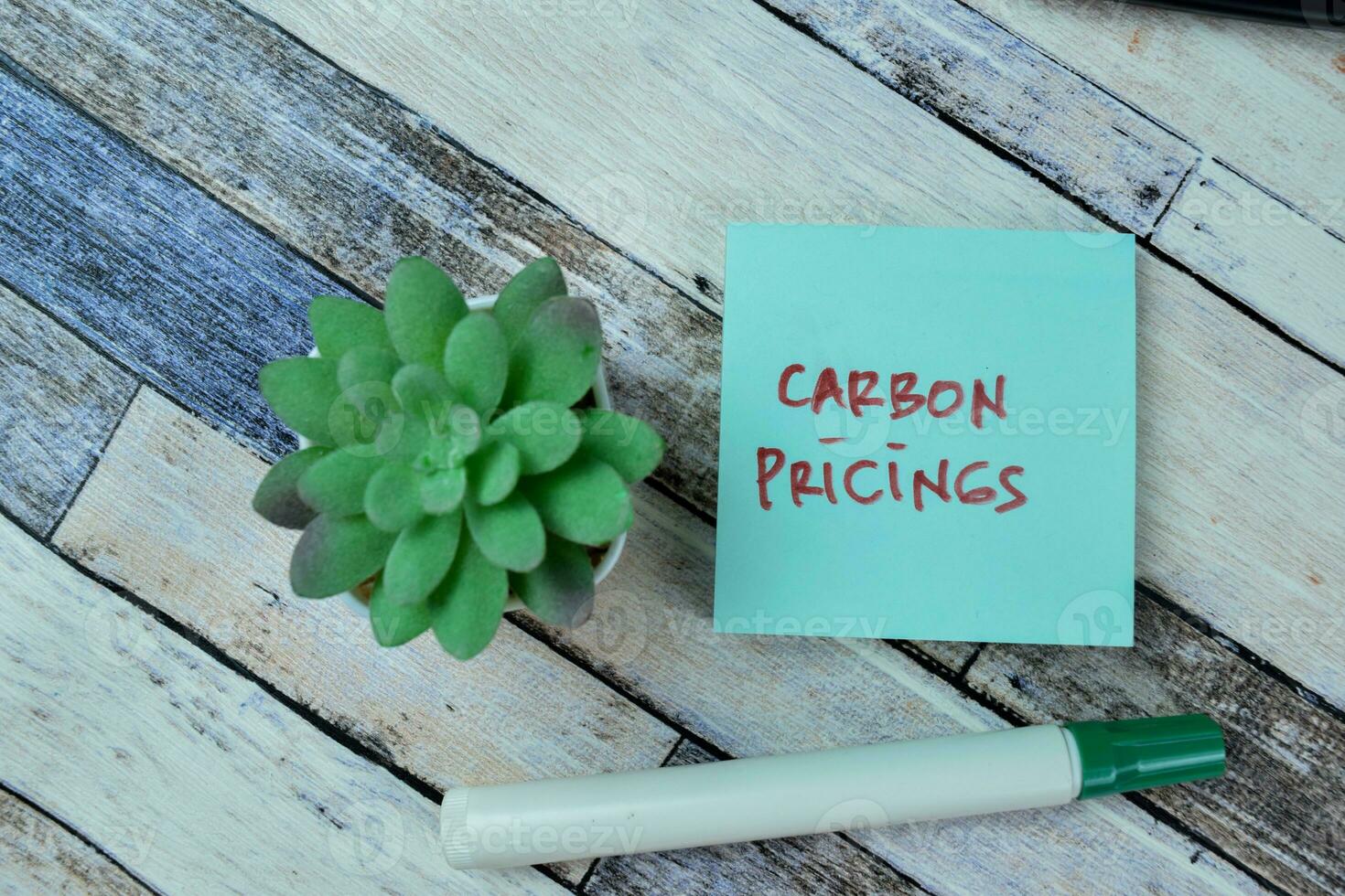 Concept of Carbon Pricings write on sticky notes isolated on Wooden