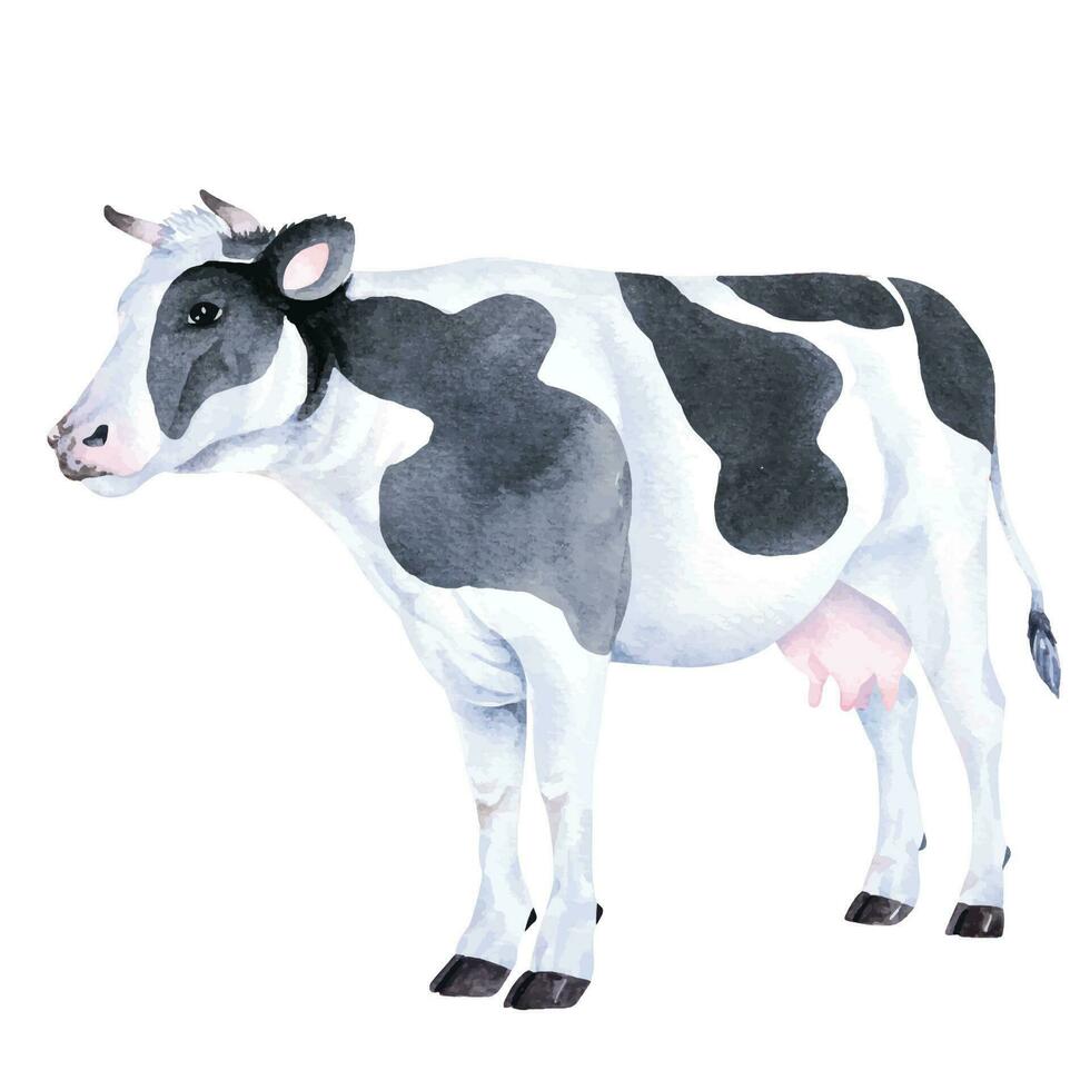 acuarela vaca dibujo.granja animal.aislado en blanco antecedentes. vector