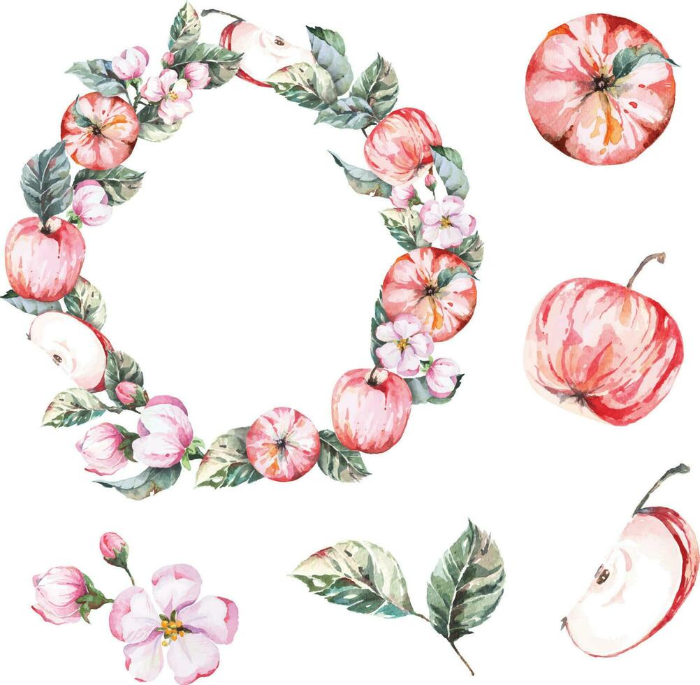 Apple and flower wreath painted in watercolor.Fruit circle for invitation,  wedding or greeting cards vector