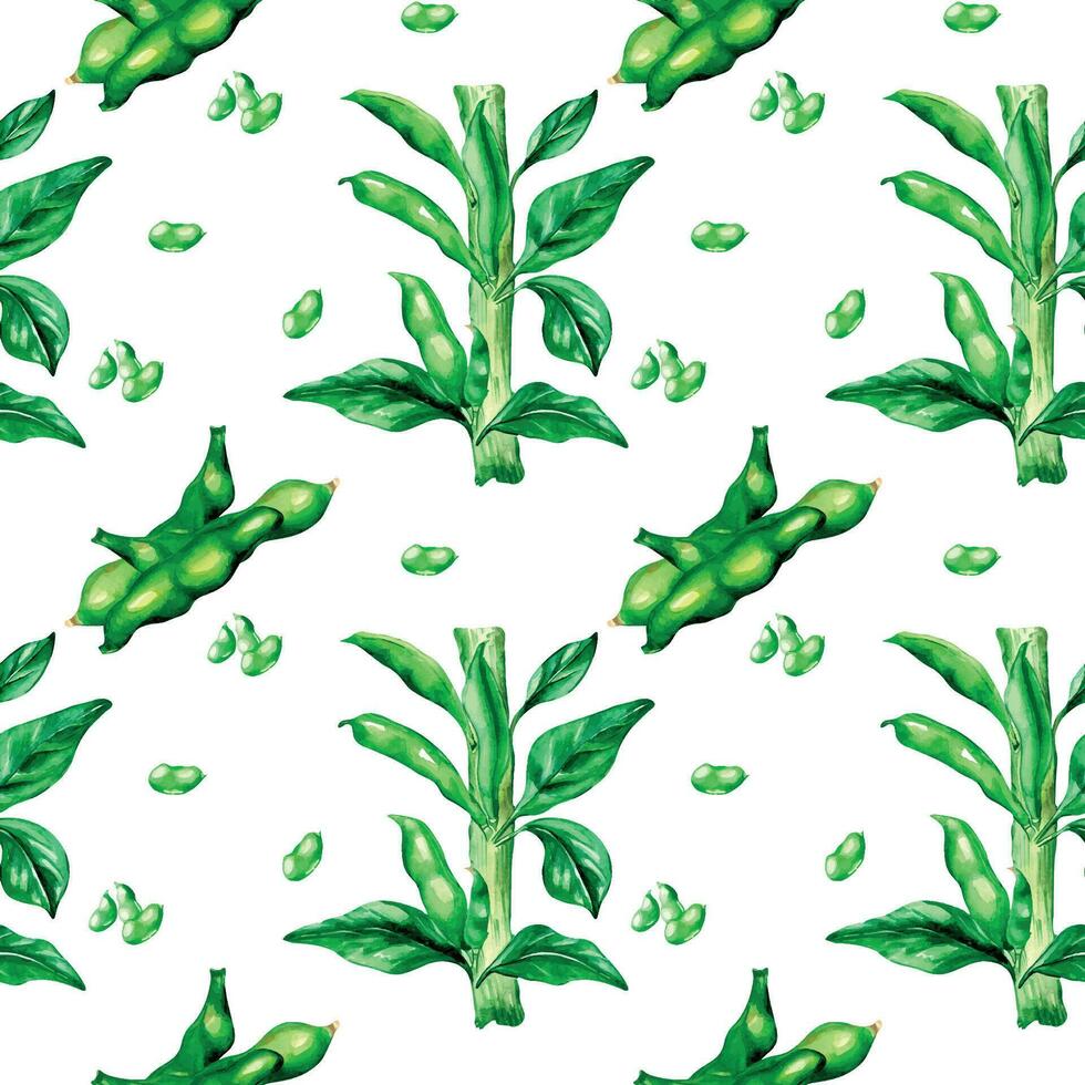 Plant green beans, haricot watercolor seamless pattern vector