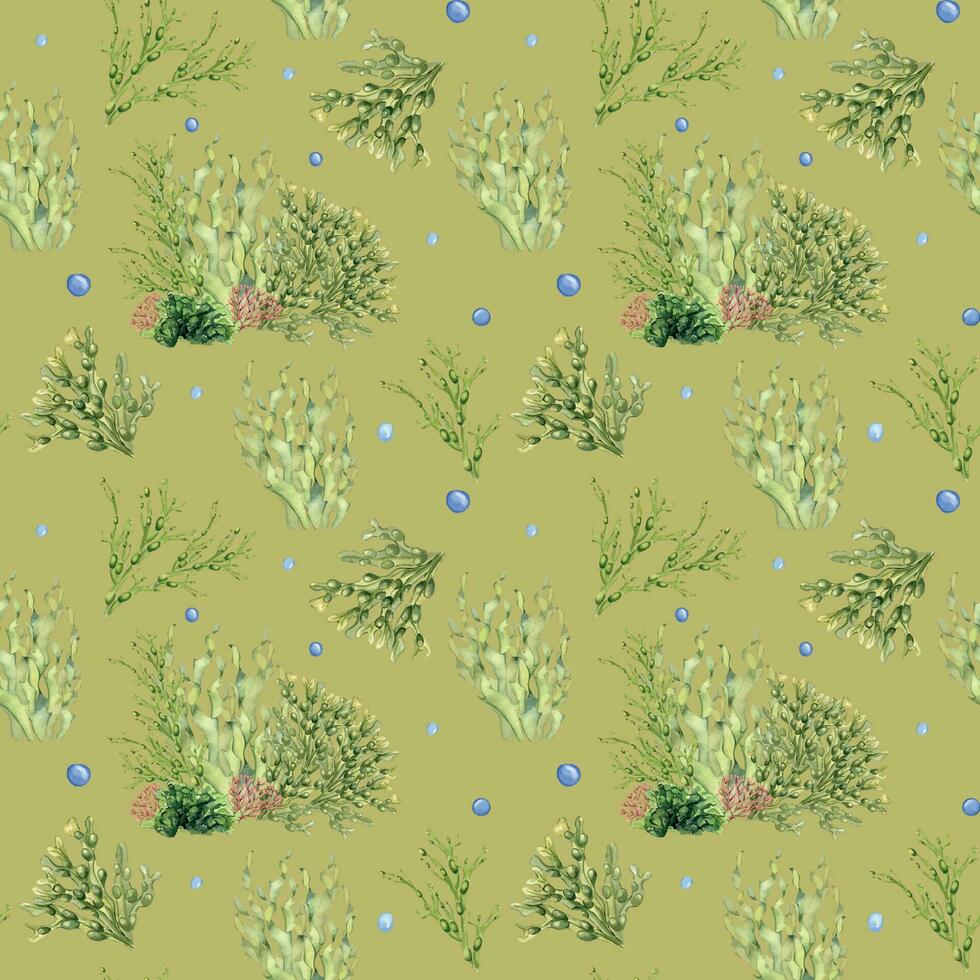 sin costura modelo de verde mar plantas acuarela ilustración aislado en beige. laminaria, mar ensalada, ascophyllum mano dibujado. diseño para paquete, etiqueta, papel, textil, envase, marina colección vector