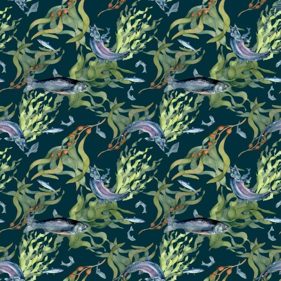 Seamless pattern of salmon and sea plants watercolor isolated on black. Wild fish, seaweed, laminaria hand drawn. Design element for textile, packaging, paper, wrapping, background, fish market vector