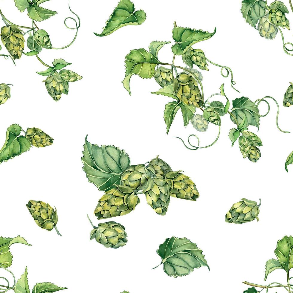 Hop vine, plant humulus watercolor seamless pattern isolated on white background. Hop on brunch with leaves, hop cones hand drawn. Design element for wrapping, label, packaging, paper, textile vector