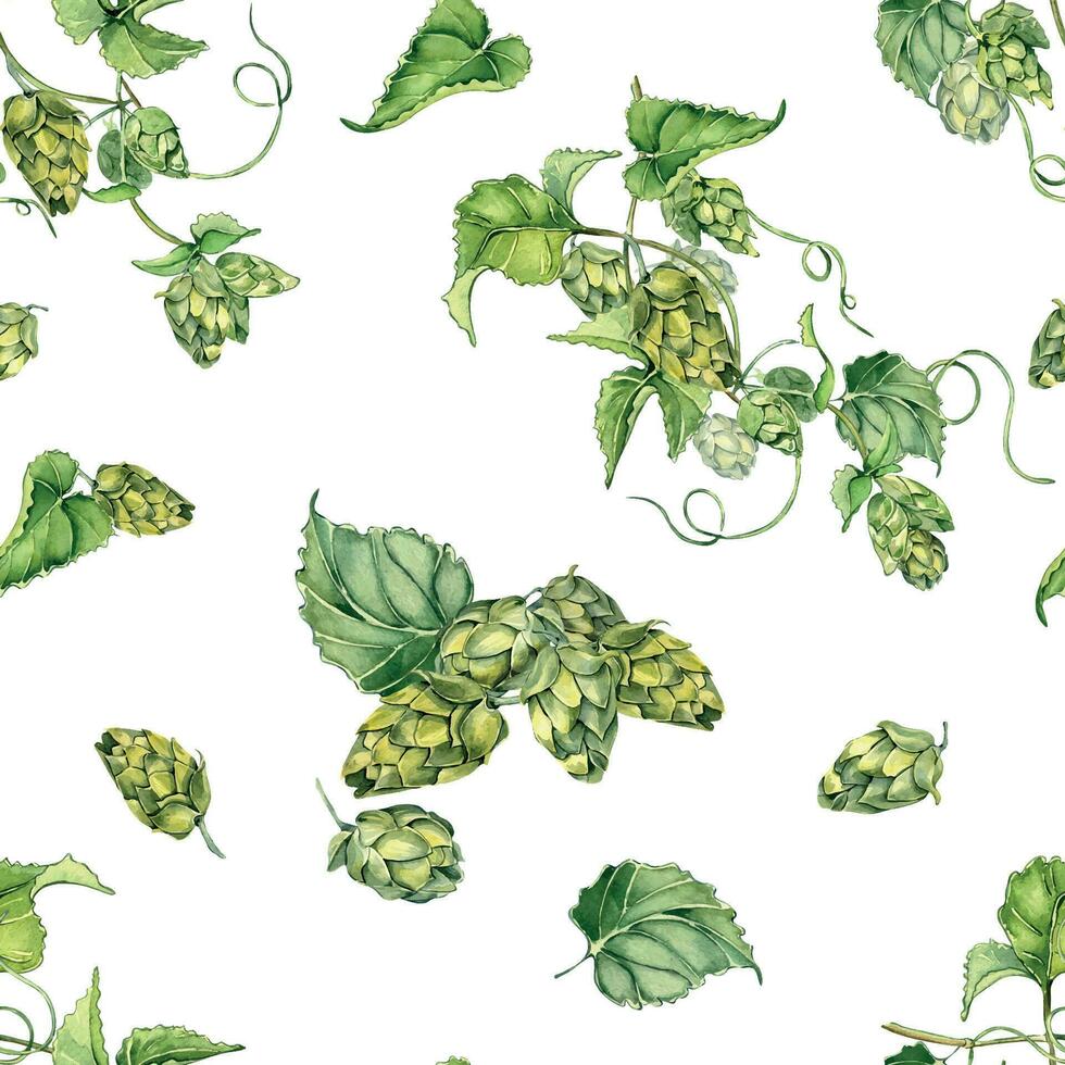 salto enredadera, planta humulus acuarela sin costura modelo aislado en blanco antecedentes. salto en desayuno tardío con hojas, salto conos mano dibujado. diseño elemento para envase, etiqueta, embalaje, papel, textil vector