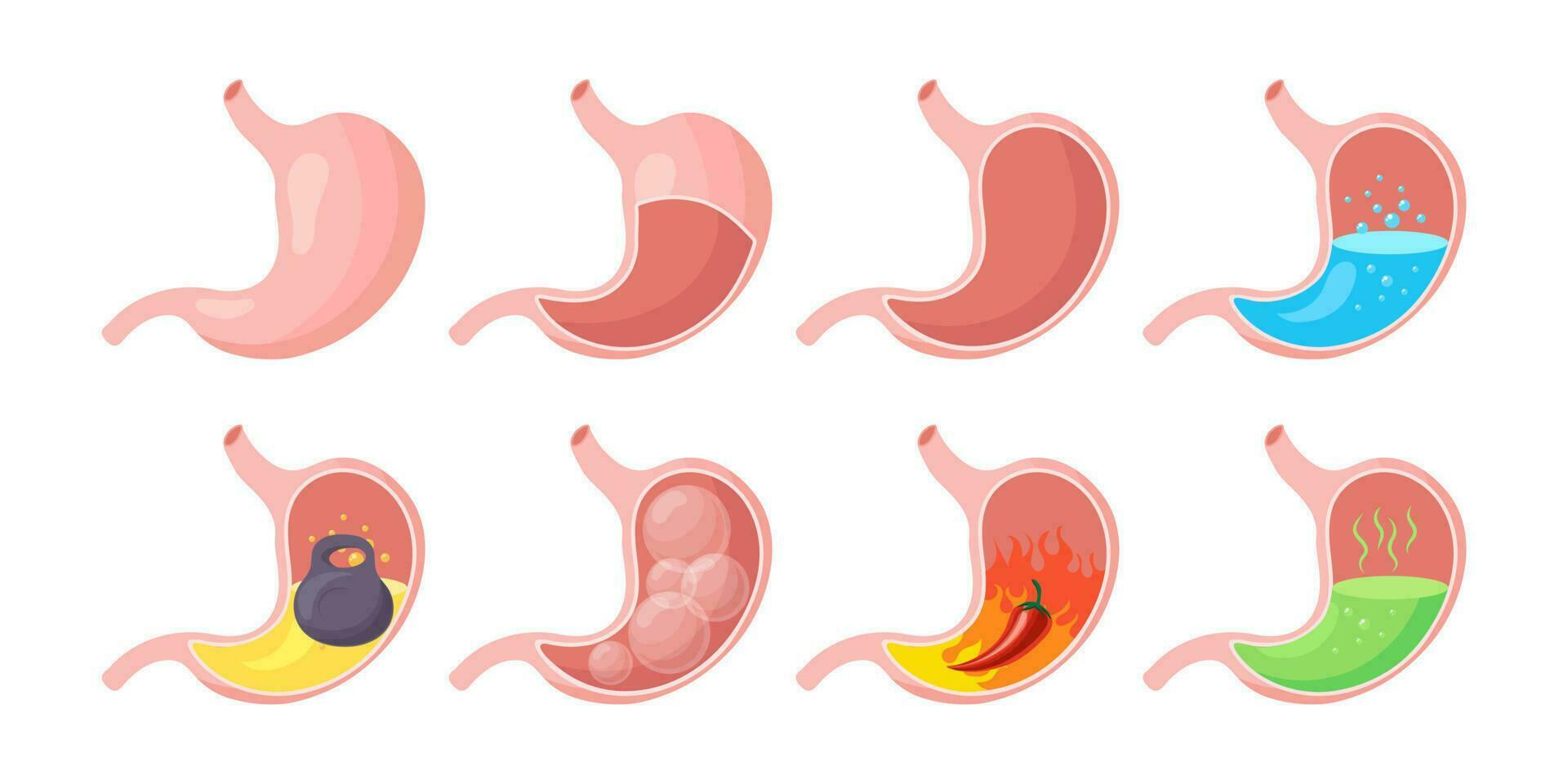 Healthy and unhealthy, empty and full human stomach, icons set. Nutrition, stomach pain, heartburn, heaviness, bloating. Anatomy of the digestive system. vector