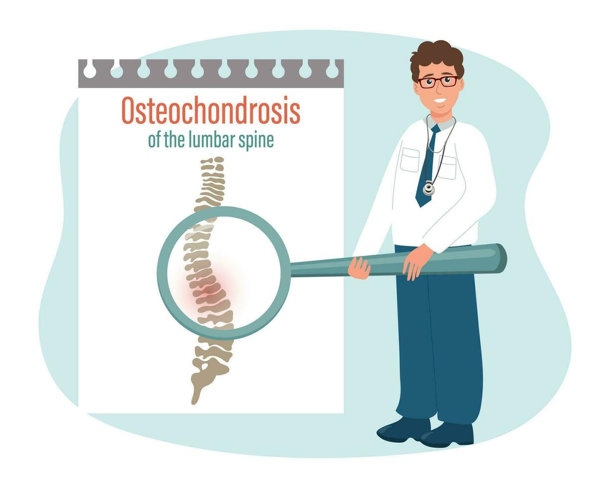 osteocondrosis de el lumbar columna vertebral. masculino médico con un aumentador vaso y un médico tarjeta. médico infografía bandera, póster, vector