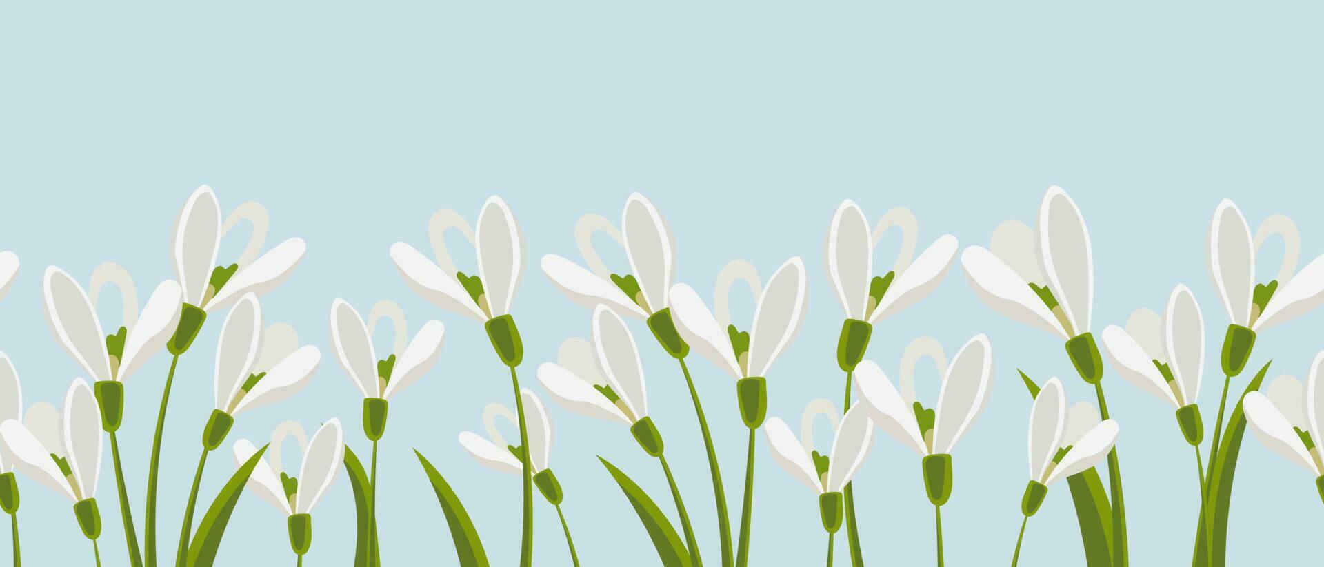 Border, spring flowers snowdrops. Spring background with copy space. Illustration, vector