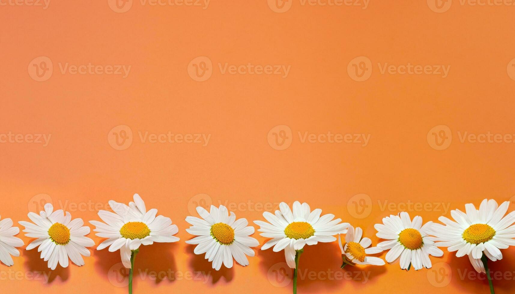 Flower with text space photo