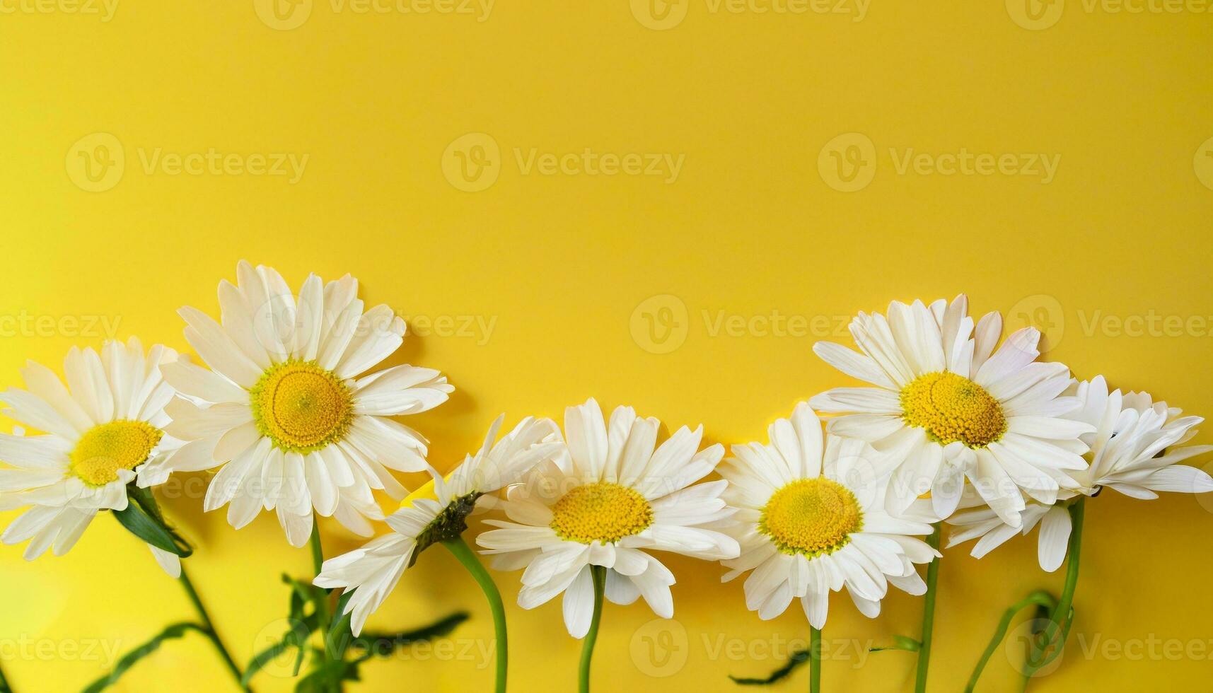 Flower with text space photo