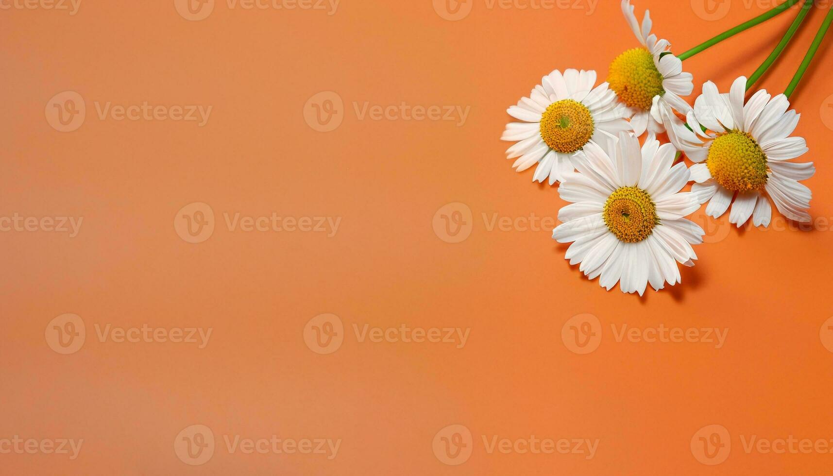 Flower with text space photo