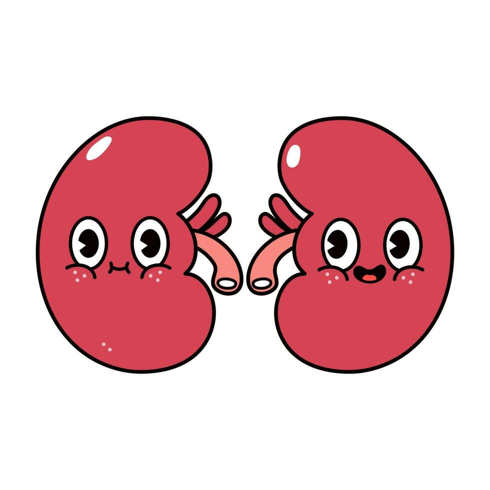 Kidneys character. Vector hand drawn traditional cartoon vintage, retro, kawaii character illustration icon. Isolated on white background. Kidneys character concept