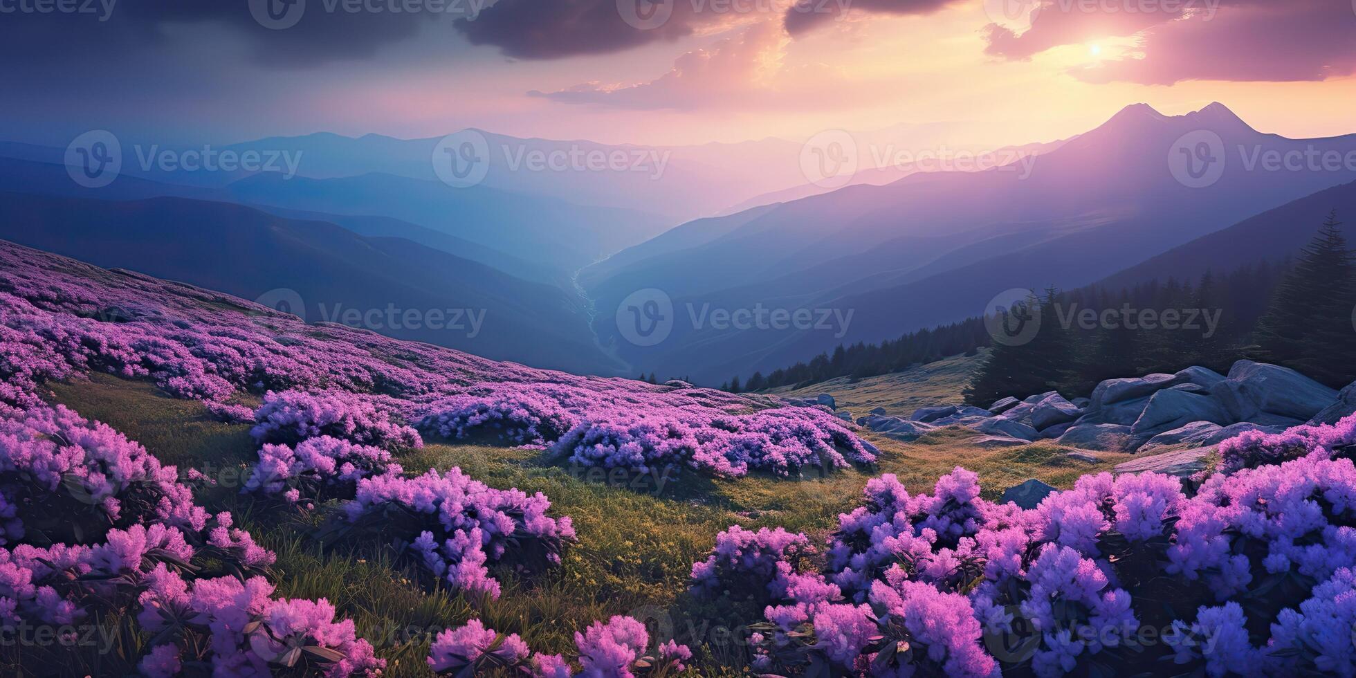. . Beautiful rhododendron flowers over sunset mountains field landscape. Graphic Art photo