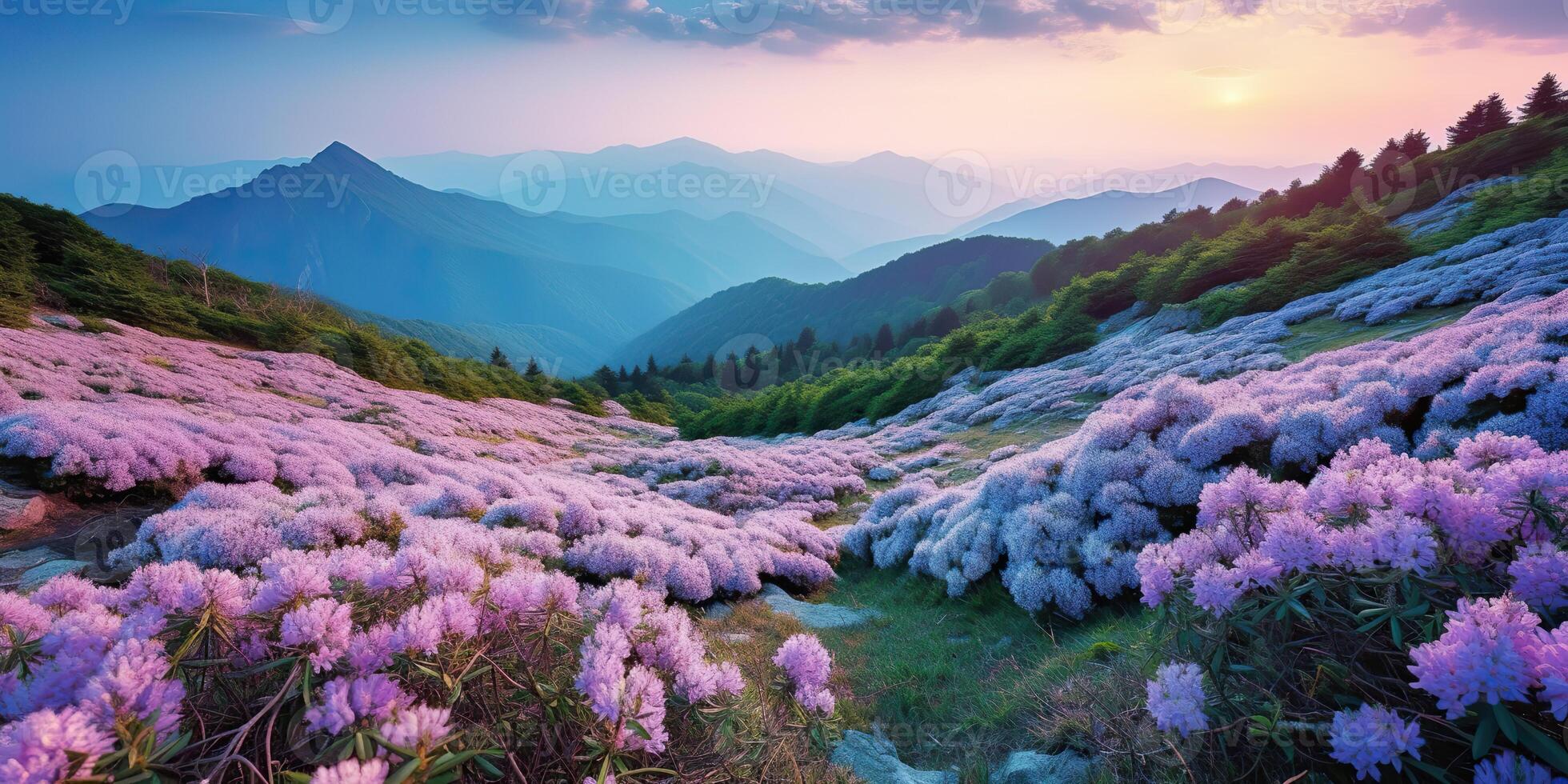 . . Beautiful rhododendron flowers over sunset mountains field landscape. Graphic Art photo