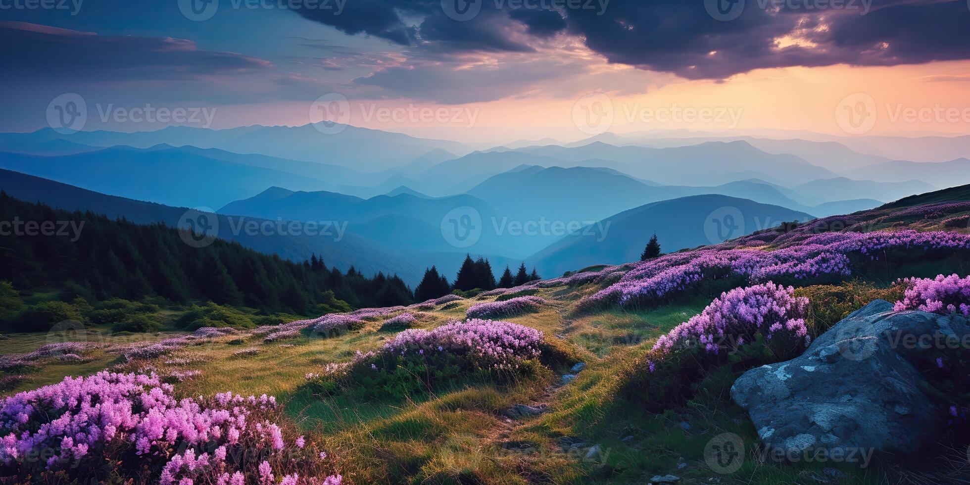 . . Beautiful rhododendron flowers over sunset mountains field landscape. Graphic Art photo