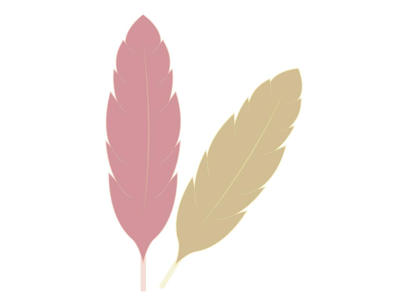 Bird Feather Vector