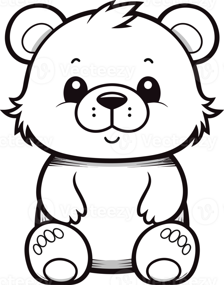 Bear, colouring book for kids,illustration png