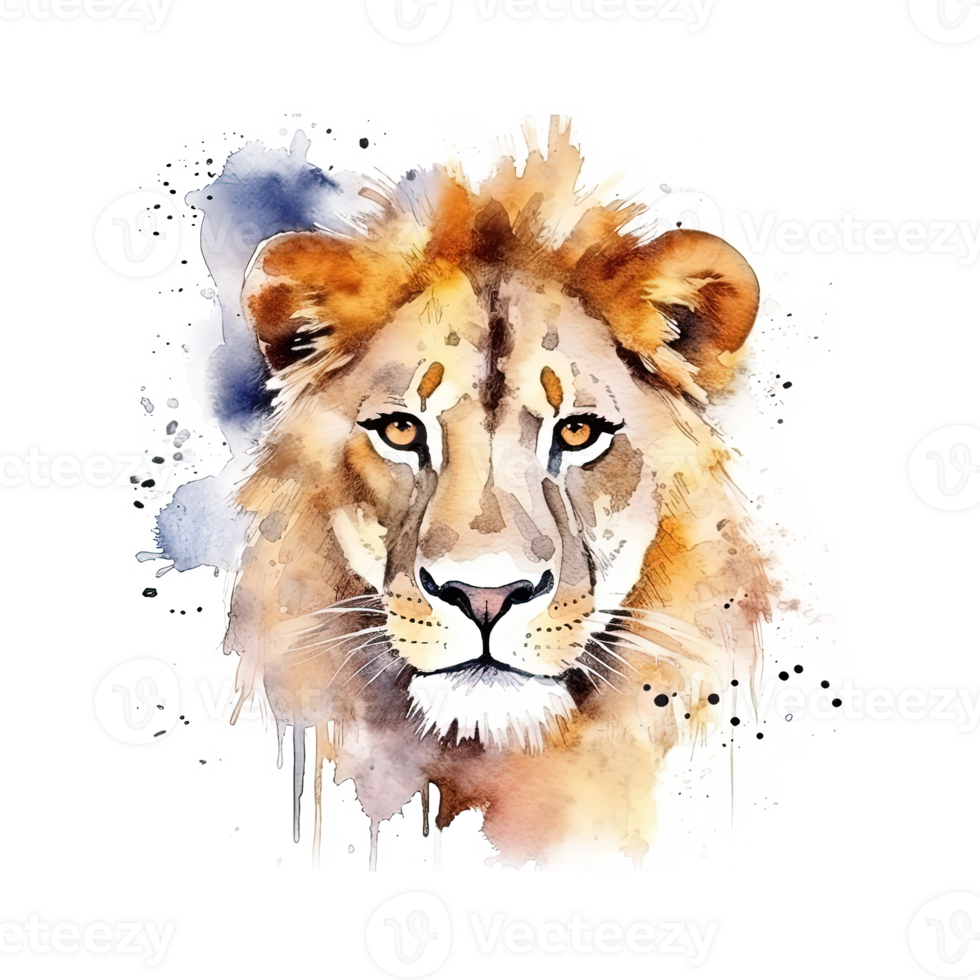 Lion watercolor head. Illustration png