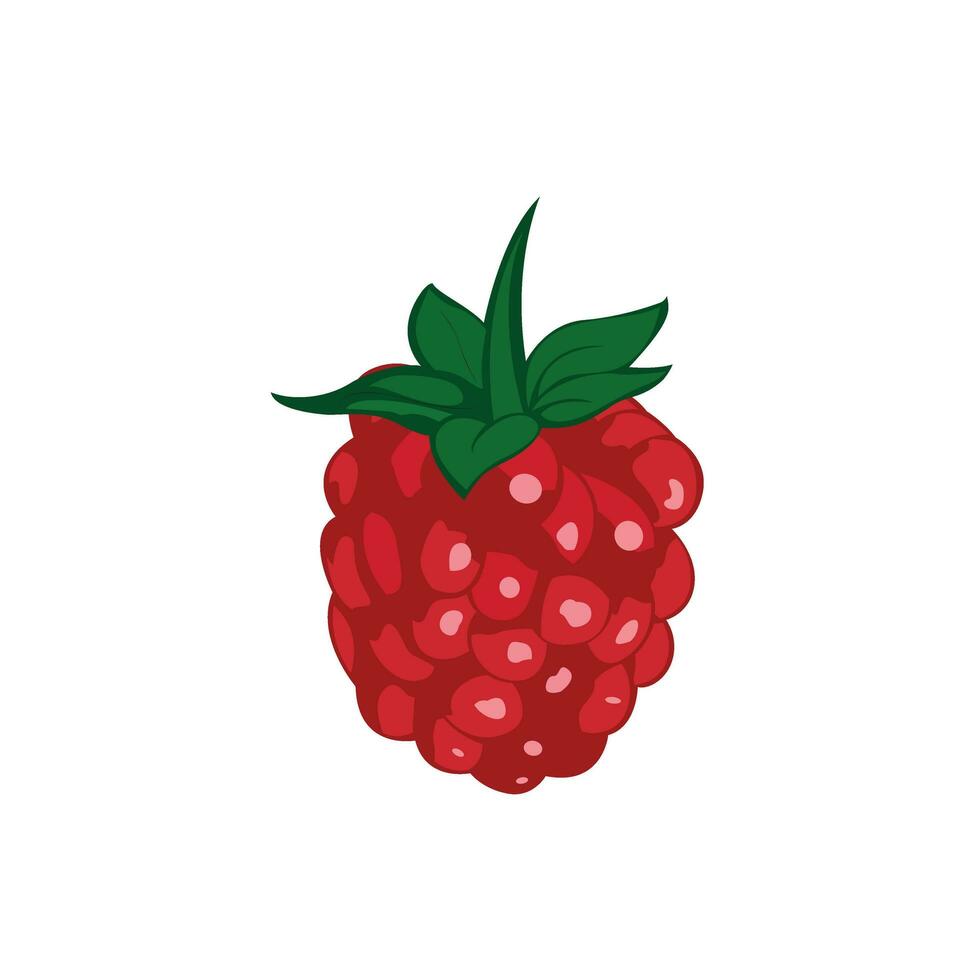 Raspberry with leaf vector icon. Raspberry icon clipart. Raspberry cartoon.