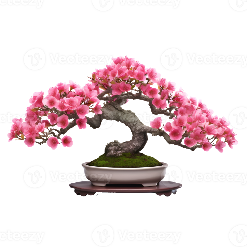 rhododendron indicum osakazuki som bonsai träd med rosa blommor. ai genererad png