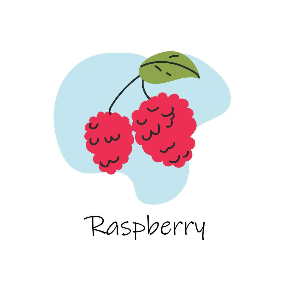 Vector hand drawn isolated raspberry with lettering. Cartoon style.Flat raspberry icon, logo for web, design, packaging.