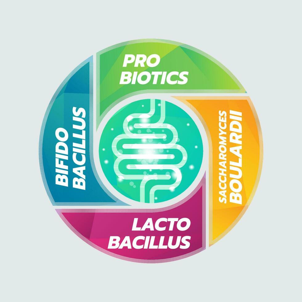 probiótico comidas bueno bacterias vector ilustración.