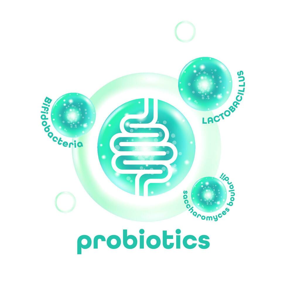 probiótico comidas bueno bacterias vector ilustración.