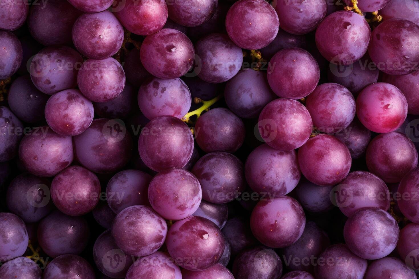 Fresh ripe blue grape. Food background. Dark grape. photo