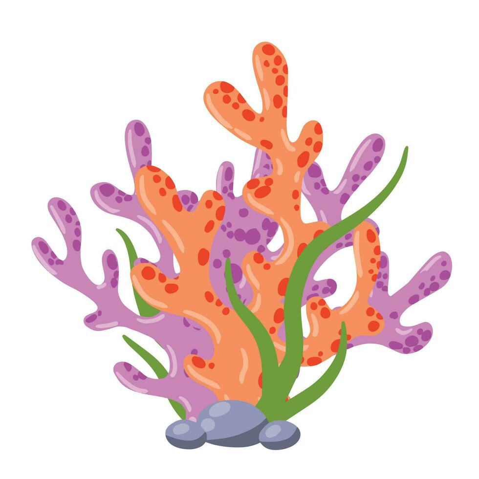 Coral reef and seaweed underwater plant. Aquarium, ocean and