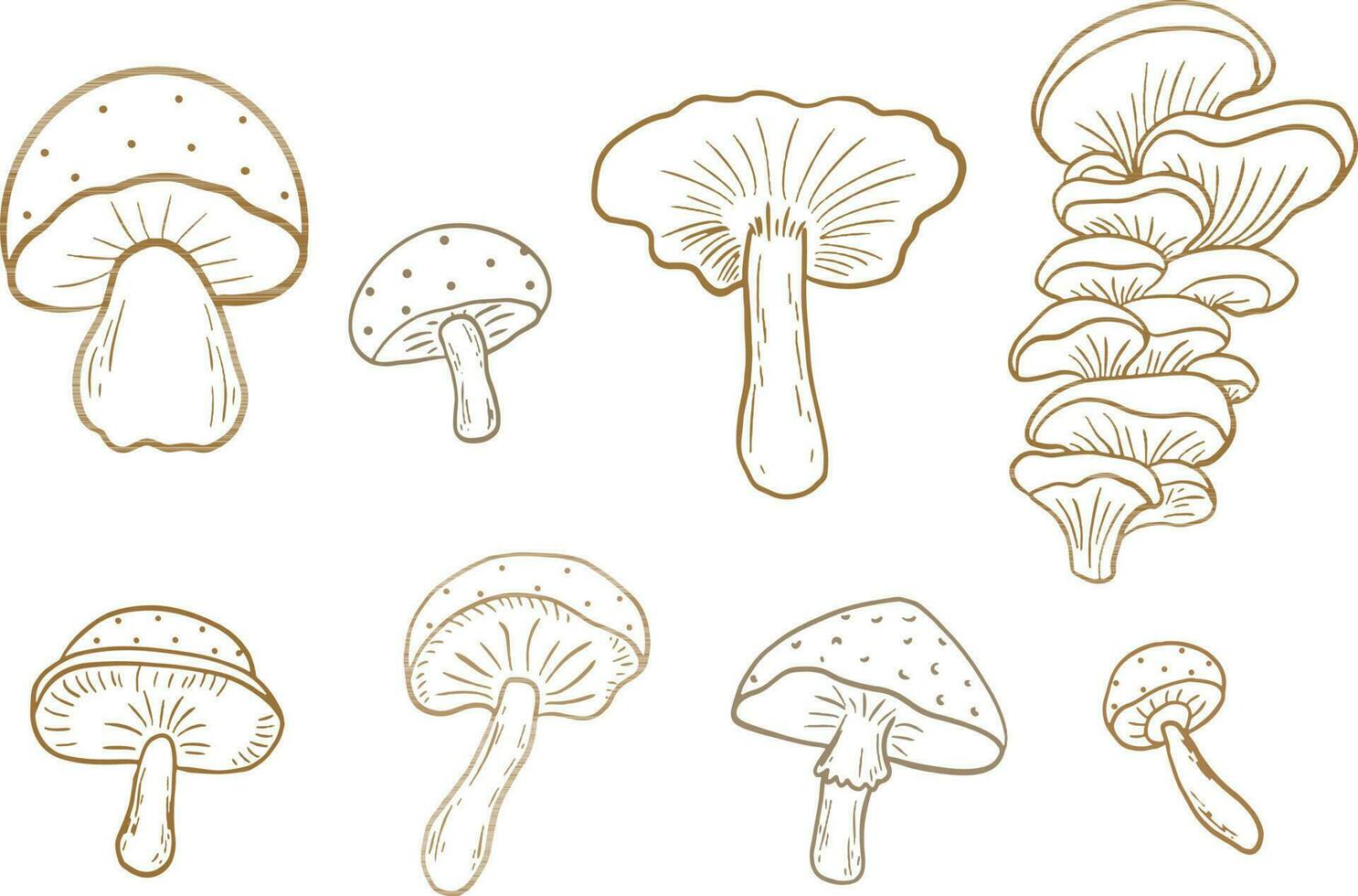 set of mushrooms Illustration vector