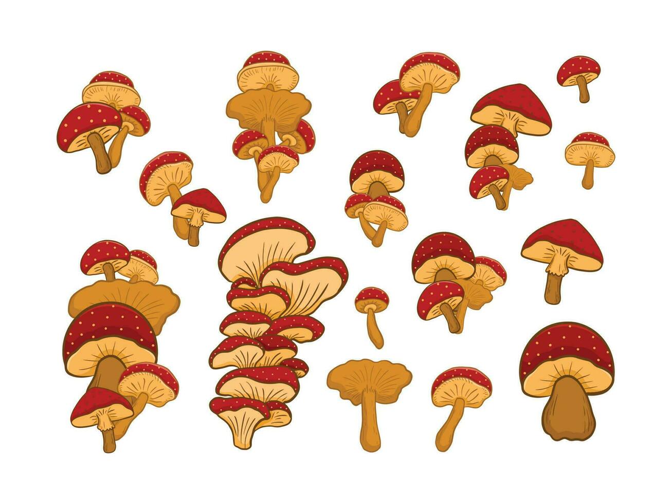 set of mushrooms Illustration vector