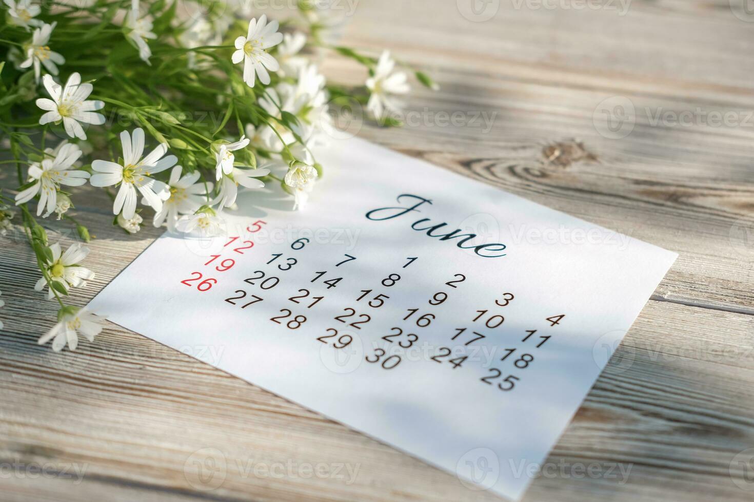 June calendar and white flowers on wooden background photo