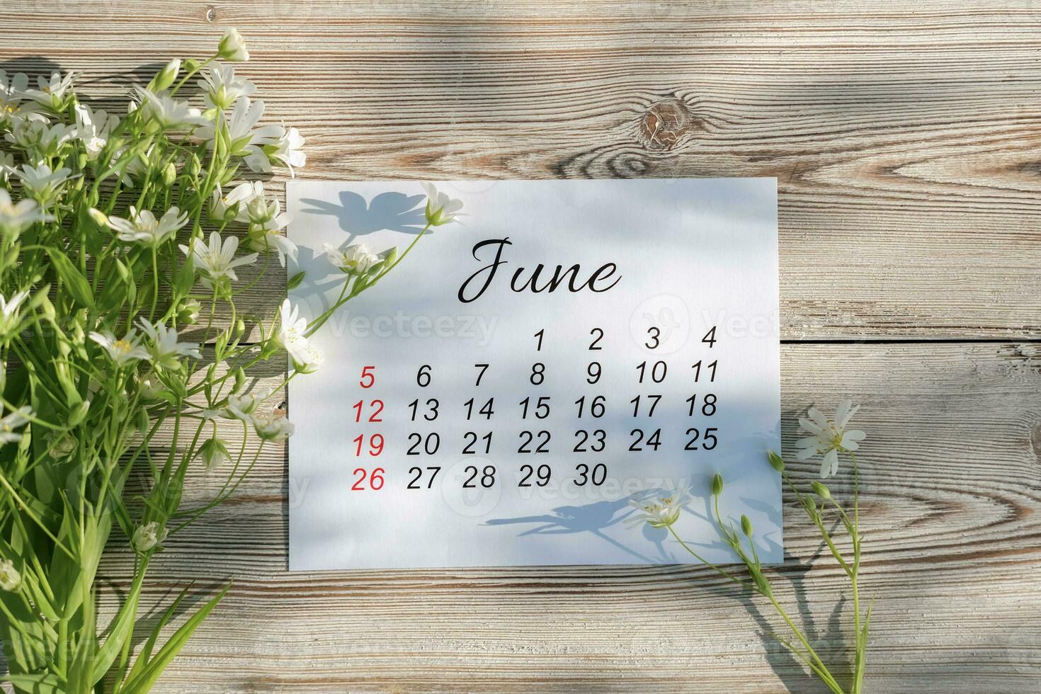 June calendar and white flowers on wooden background photo
