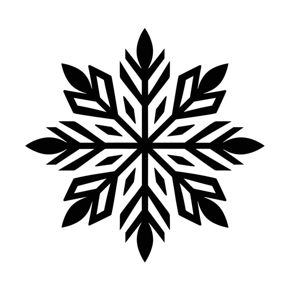 Beautiful Christmas Snowflake vector