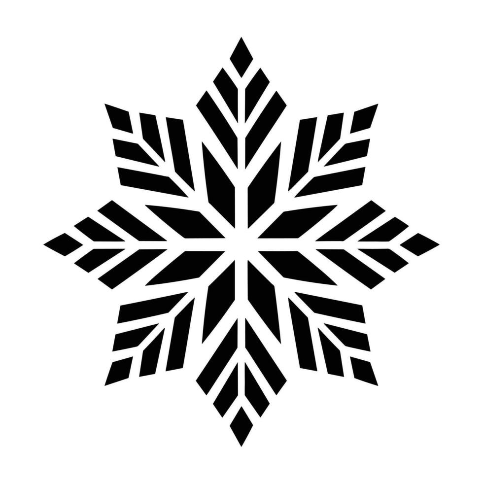 Beautiful Christmas Snowflake vector